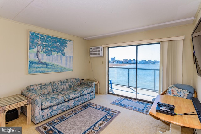 carpeted living room with a wall mounted AC