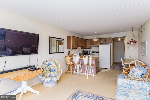 living area featuring light carpet