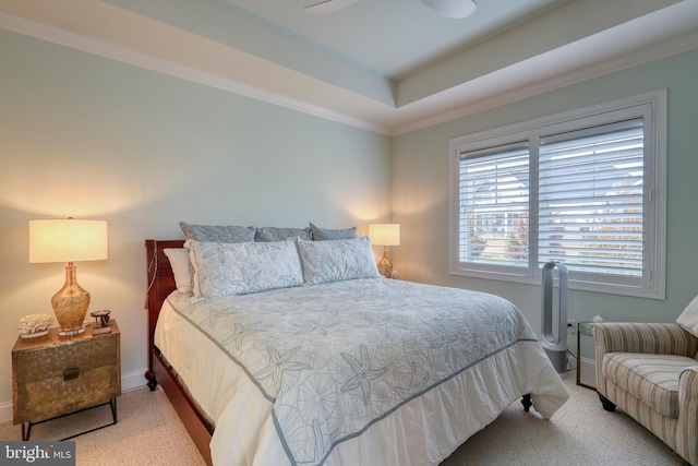 bedroom with a tray ceiling and baseboards