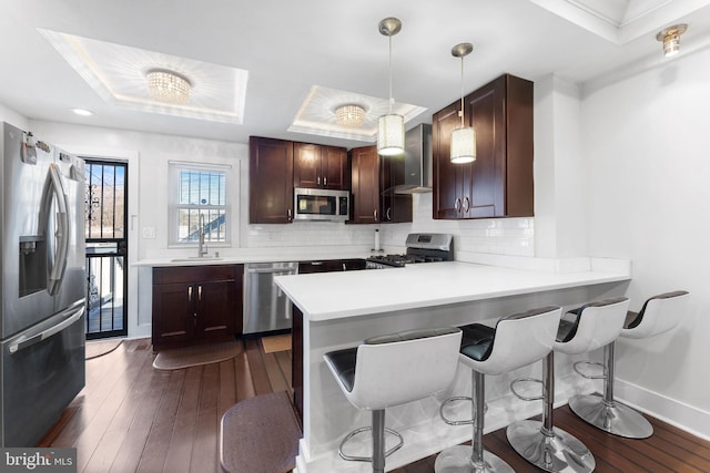 kitchen with dark wood-type flooring, decorative backsplash, stainless steel appliances, a raised ceiling, and a sink