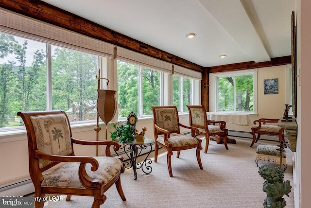 sunroom featuring a baseboard radiator