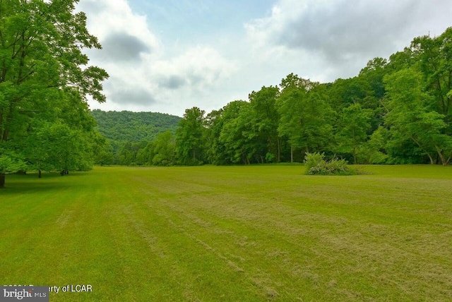 view of yard with a forest view