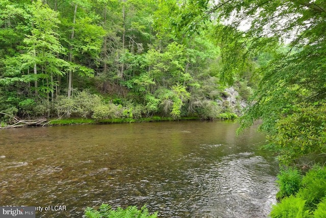 view of water feature featuring a wooded view