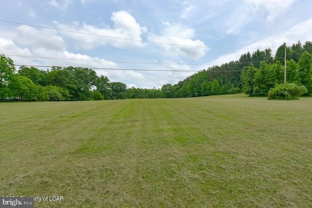 view of yard with a forest view