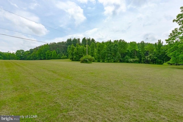 view of yard with a forest view