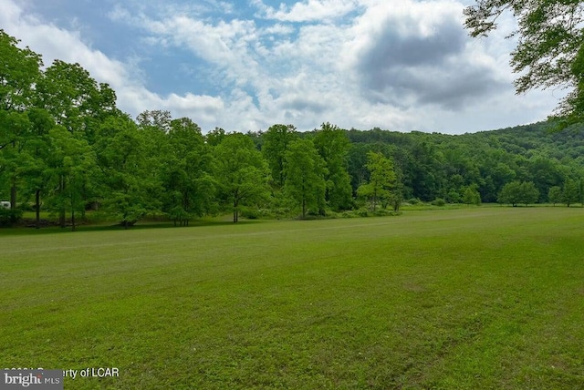 view of yard featuring a forest view