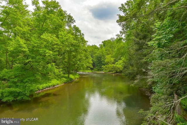 water view with a wooded view