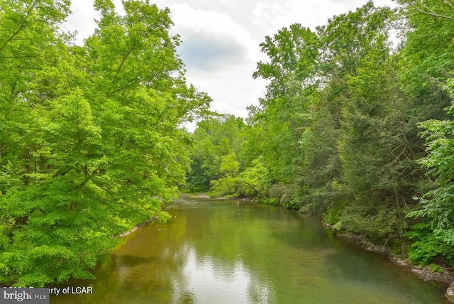 property view of water with a forest view