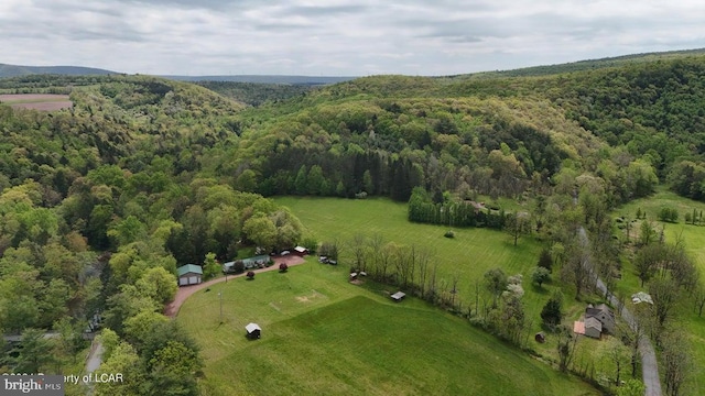 bird's eye view with a rural view and a wooded view