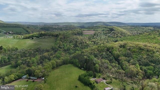 bird's eye view with a view of trees and a mountain view