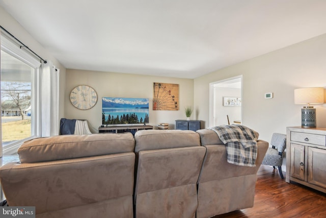 living room with dark wood finished floors