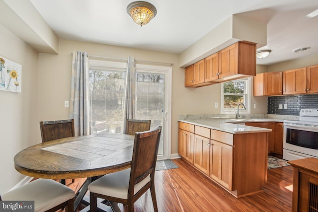 kitchen featuring decorative backsplash, a peninsula, wood finished floors, electric range, and a sink