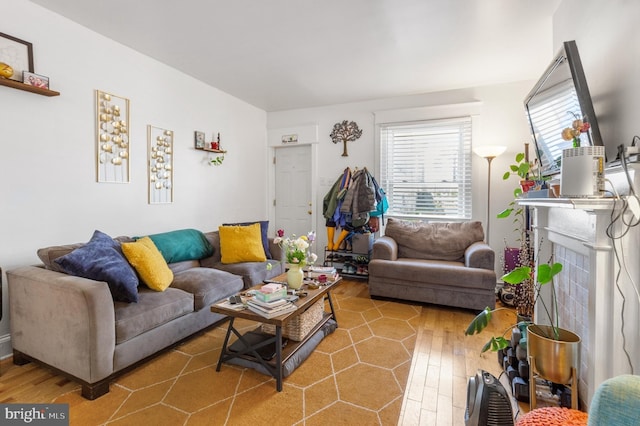 living room with a fireplace and wood-type flooring