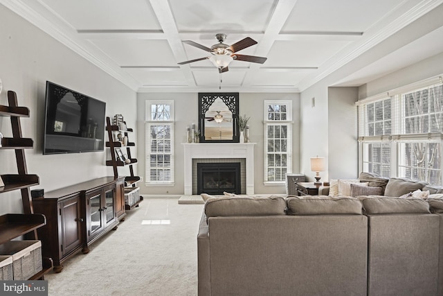 carpeted living area with a ceiling fan, coffered ceiling, a fireplace, and crown molding