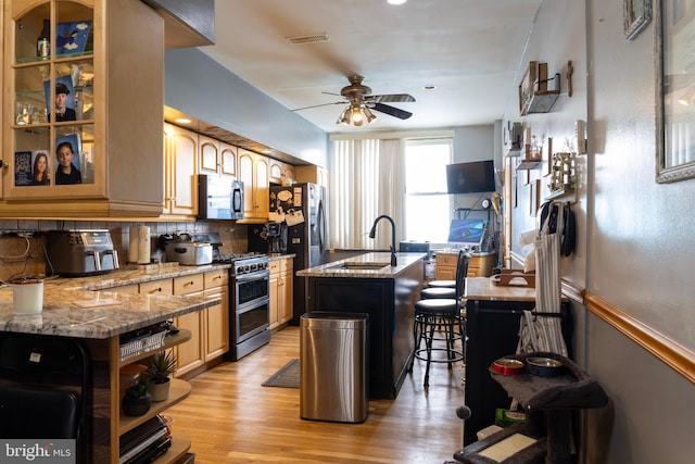 kitchen featuring light wood finished floors, ceiling fan, light stone counters, stainless steel appliances, and a kitchen island with sink