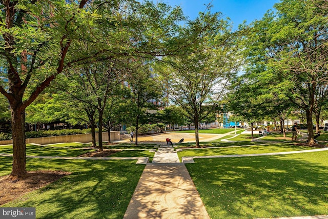 view of property's community with a lawn