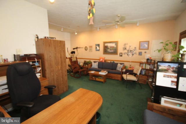 office area featuring rail lighting, a ceiling fan, and carpet