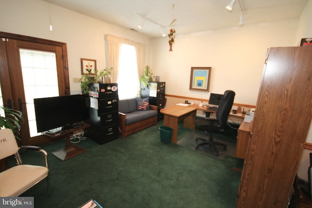 office area featuring track lighting and carpet floors