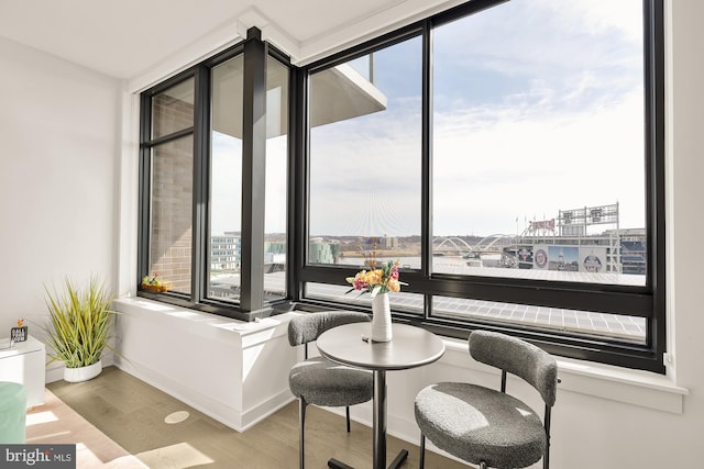 sitting room featuring a wealth of natural light, baseboards, and wood finished floors