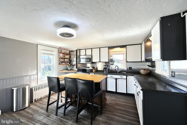 kitchen with a wainscoted wall, radiator heating unit, a sink, dark wood-type flooring, and appliances with stainless steel finishes