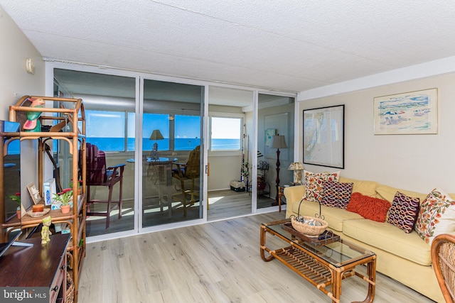 living room with a textured ceiling and wood finished floors