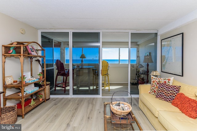 living room featuring wood finished floors