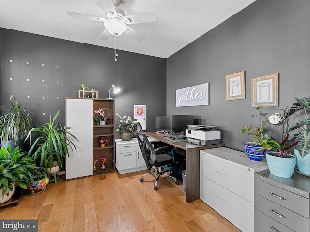 office area featuring light wood-style flooring and ceiling fan