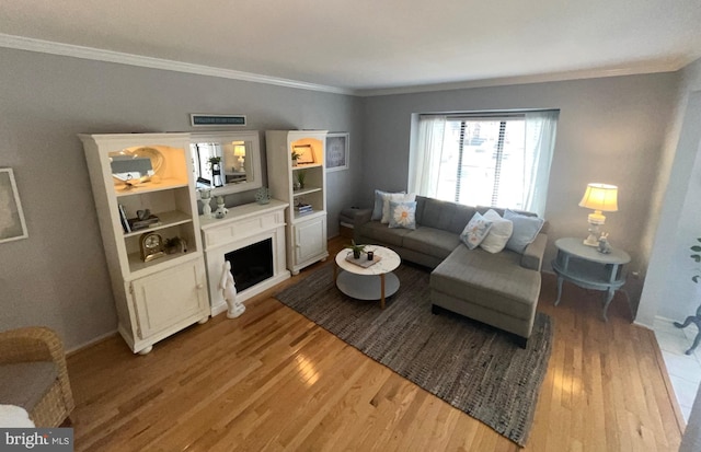 living room featuring light wood finished floors, a fireplace, baseboards, and ornamental molding