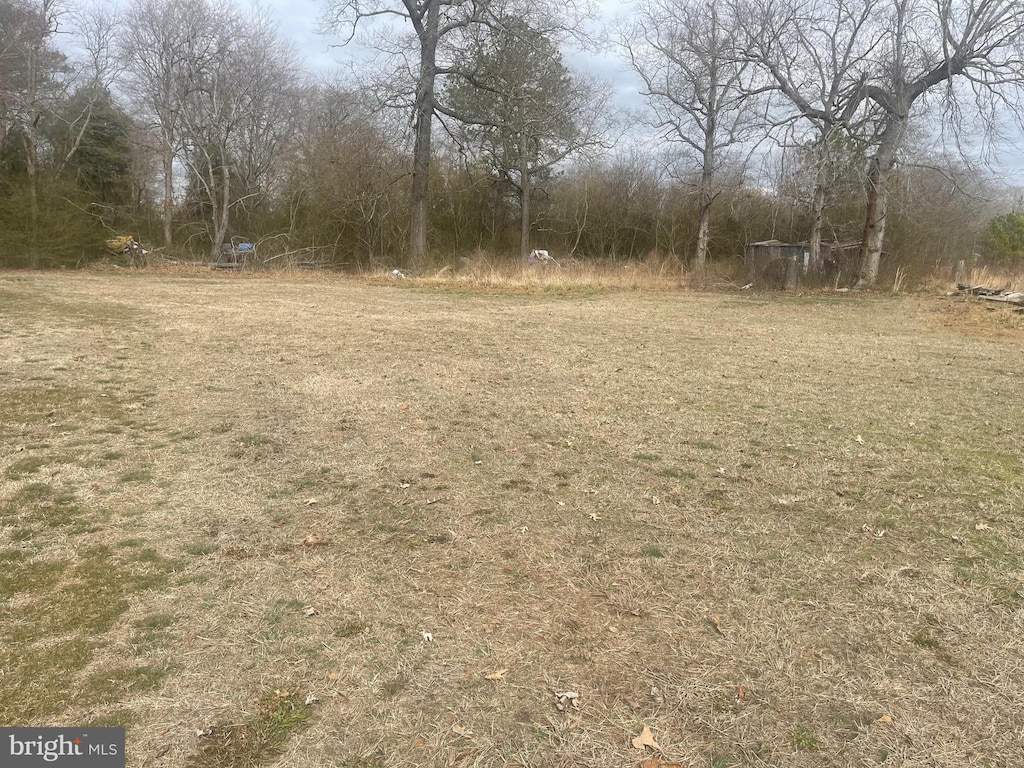 32275 Horsey And Everett Rd, Laurel, DE 19956 - view of yard