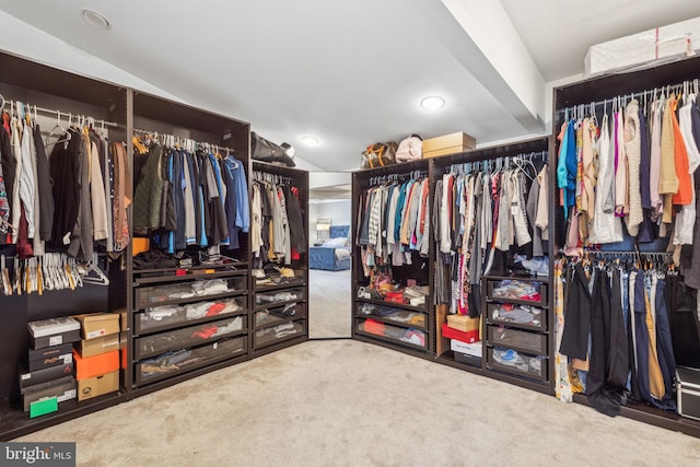 spacious closet featuring lofted ceiling and carpet