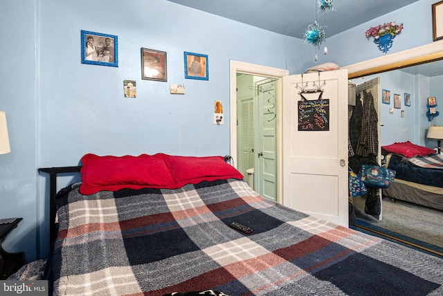 bedroom featuring carpet and a closet