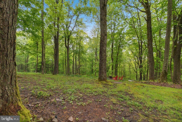 view of landscape with a forest view