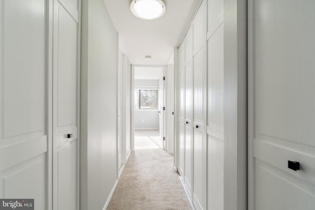 hall with baseboards and light carpet