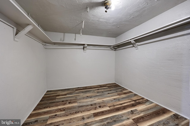 spacious closet featuring wood finished floors