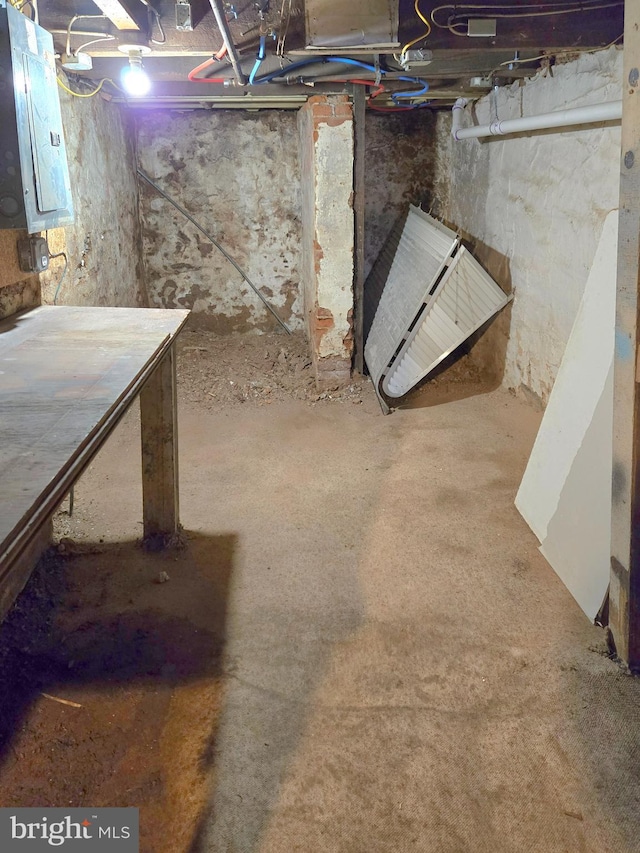 unfinished basement with electric panel