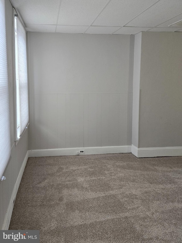 empty room featuring a wealth of natural light, a drop ceiling, and carpet floors