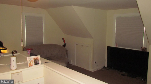 bedroom featuring vaulted ceiling