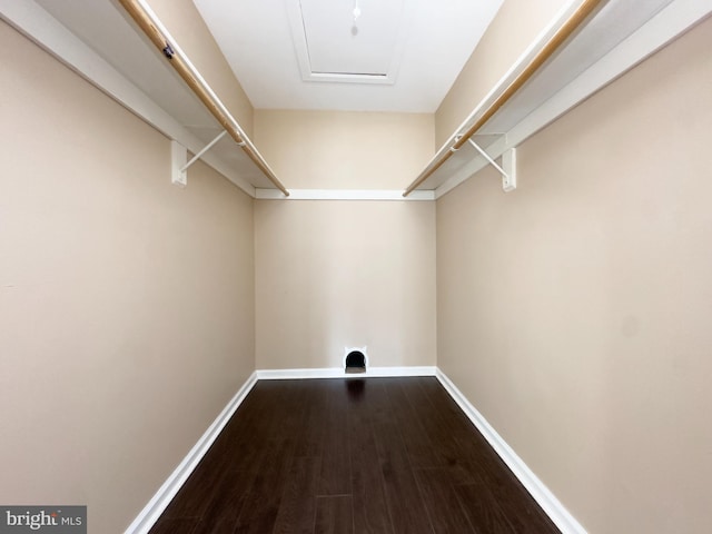 walk in closet featuring dark wood-style floors and attic access