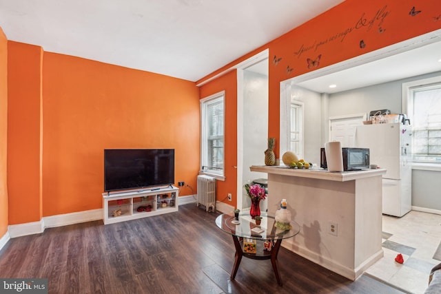 living room featuring radiator heating unit, baseboards, and wood finished floors
