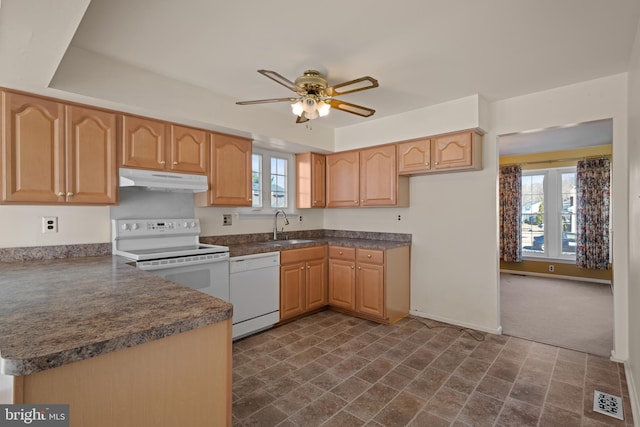 kitchen featuring dark countertops, under cabinet range hood, plenty of natural light, white appliances, and a sink