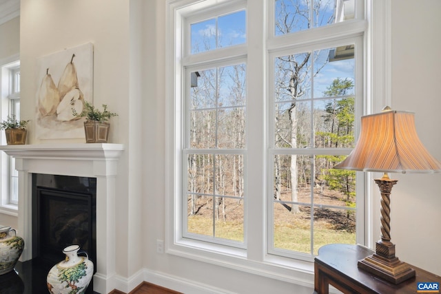 interior details with a glass covered fireplace