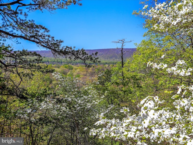 777 Timber Ln, Berkeley Springs, WV 25411 - property view of mountains with a wooded view