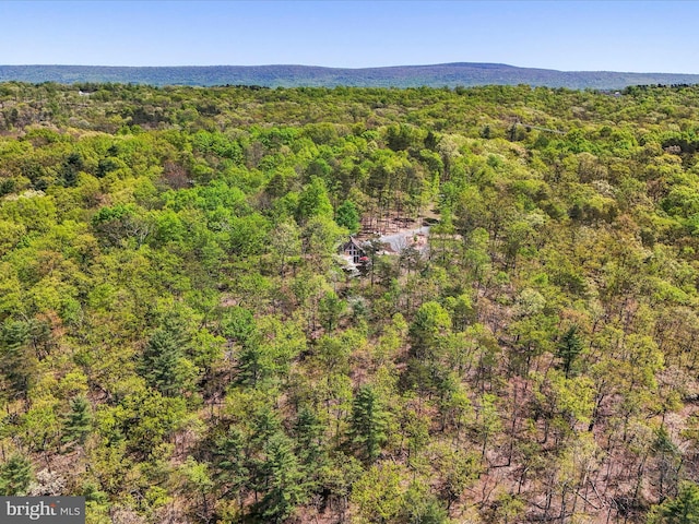 777 Timber Ln, Berkeley Springs, WV 25411 - aerial view featuring a view of trees