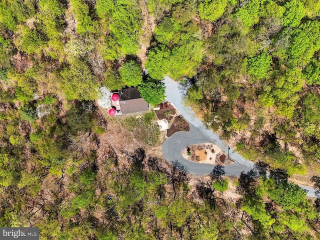 777 Timber Ln, Berkeley Springs, WV 25411 - birds eye view of property