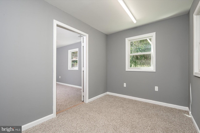 empty room featuring plenty of natural light, baseboards, and carpet floors