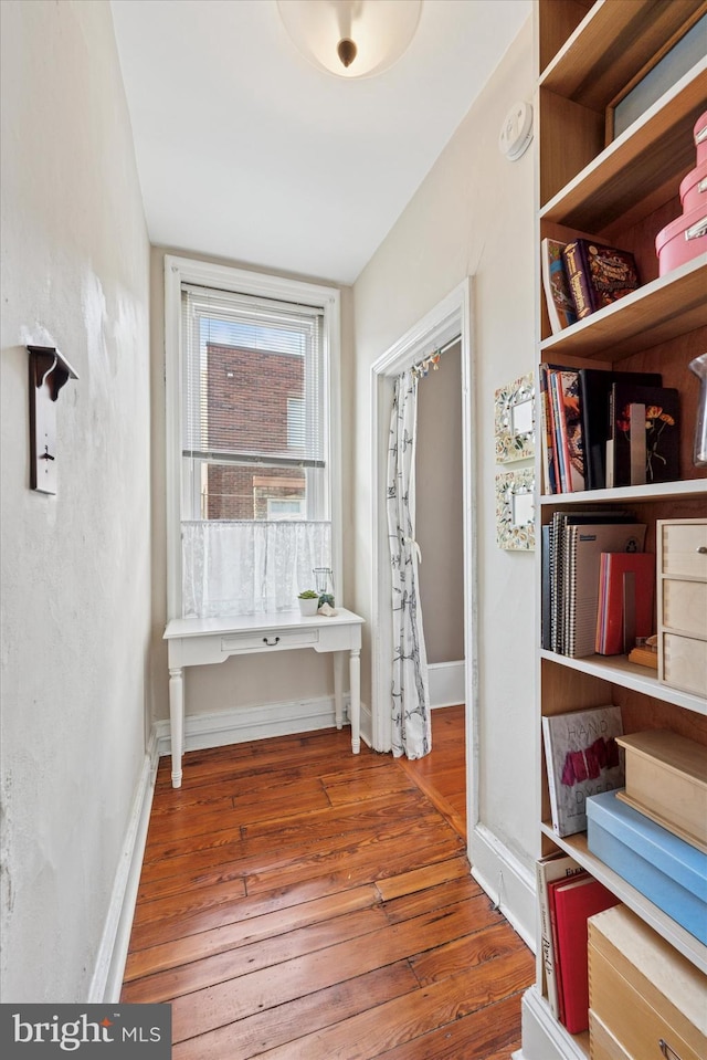 walk in closet with hardwood / wood-style flooring