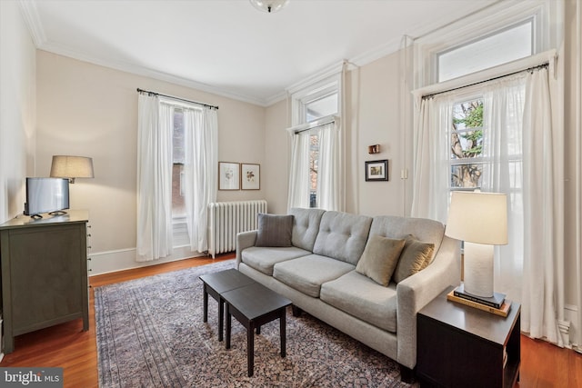 living room with baseboards, wood finished floors, radiator heating unit, and ornamental molding