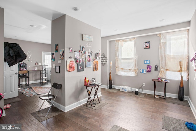 interior space featuring baseboards, a healthy amount of sunlight, and wood finished floors