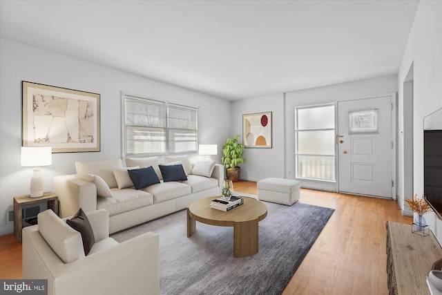 living area featuring wood finished floors and a wealth of natural light