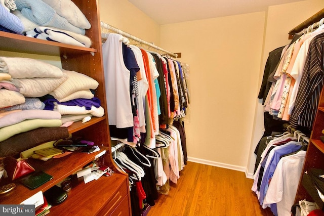 spacious closet featuring wood finished floors